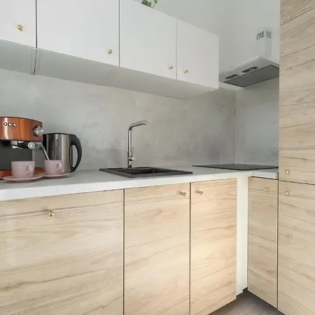 Kamienica Centrum Apartament Nr 15 Stettino Esterno foto